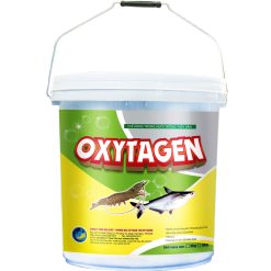Oxytagen cho ao tôm