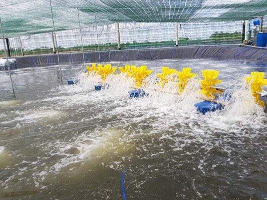 Quạt tăng cường Oxy cho ao tôm