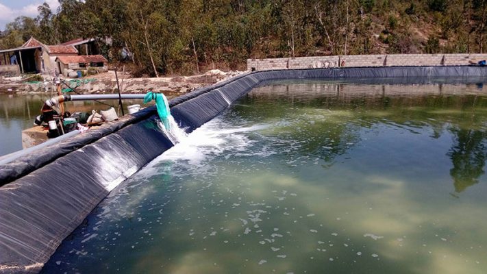xử lí nước thải nuôi tôm