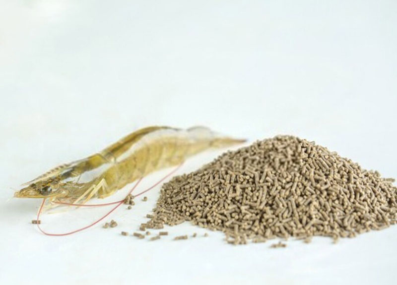 thức ăn đạm cao nuôi tôm thẻ