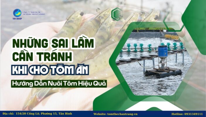 Những Sai Lầm Cần Tránh Khi Cho Tôm Ăn: Hướng Dẫn Nuôi Tôm Hiệu Quả