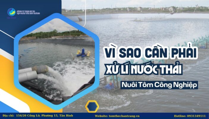 Vì Sao Cần Phải Xử Lí Nước Thải Nuôi Tôm Công Nghiệp