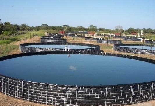 Bạt lót HDPE không thấm thấu, đảm bảo không rò rỉ nước