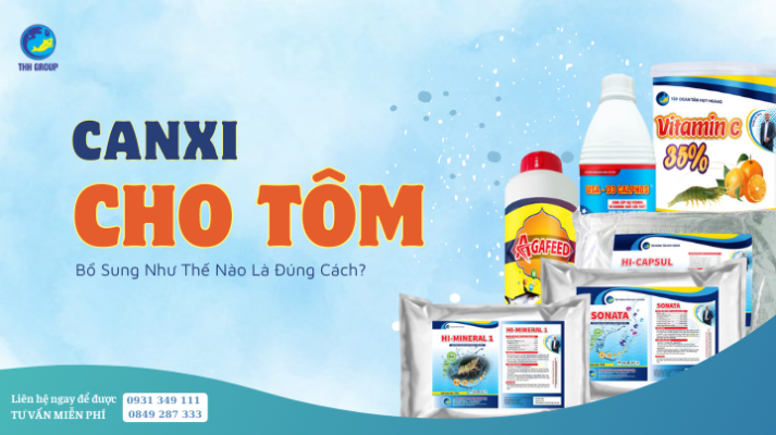 Canxi Cho Tôm Bổ Sung Như Thế Nào Là Đúng Cách? 