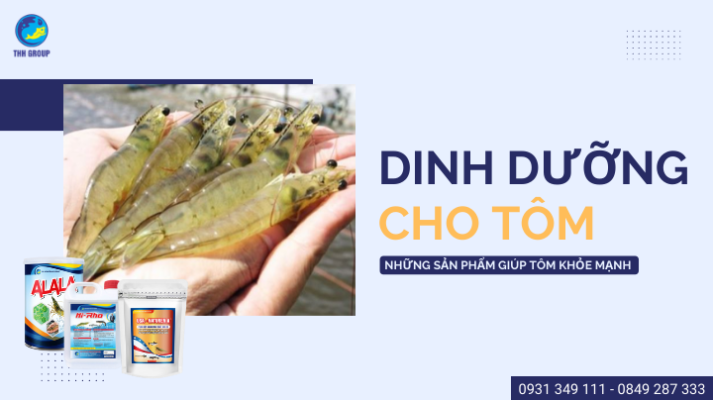 Dinh Dưỡng Cho Tôm | Những Sản Phẩm Giúp Tôm Khỏe Mạnh