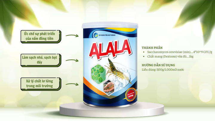 Alala chuyên xử lý nấm đồng tiền