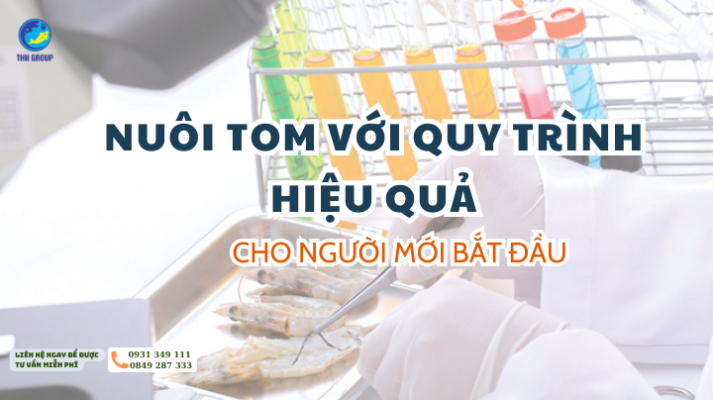 Nuôi Tom Với Quy Trình Hiệu Quả Cho Người Mới Bắt Đầu 