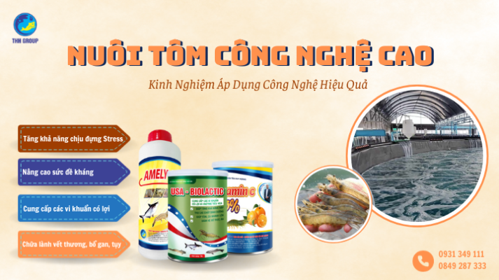 Nuôi Tôm Công Nghệ Cao Là Gì? Kinh Nghiệm Áp Dụng Công Nghệ Hiệu Quả 