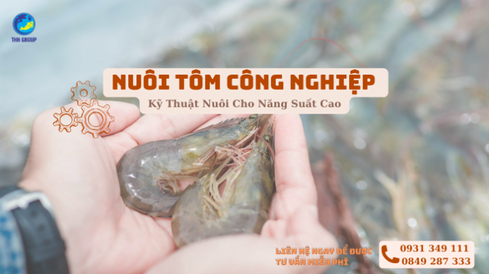 Nuôi Tôm Công Nghiệp - Kỹ Thuật Nuôi Cho Năng Suất Cao 
