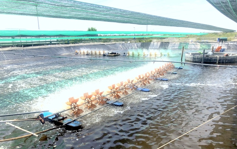Tuyệt đối không sử dụng các chất hóa học hoặc phương pháp cải tạo môi trường không rõ nguồn gốc