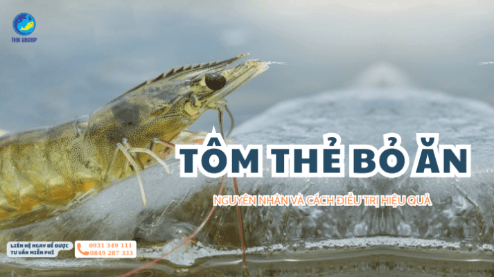 Tom Thẻ Bỏ Ăn - Nguyên Nhân Và Cách Điều Trị Hiệu Quả