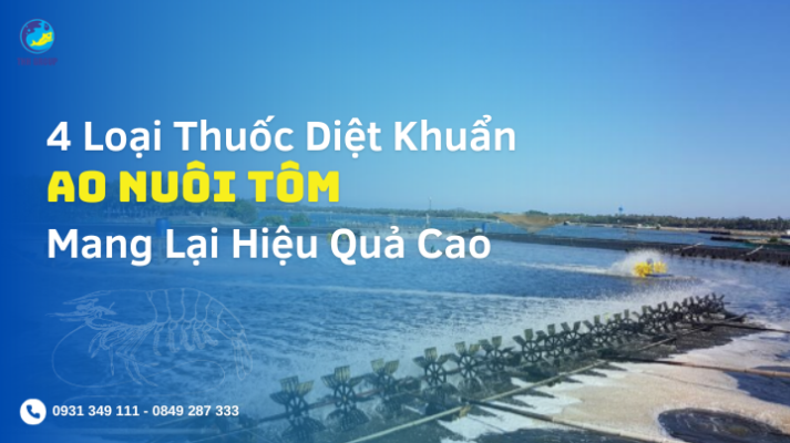 4 Loại Thuốc Diệt Khuẩn Ao Nuôi Tôm Mang Lại Hiệu Quả Cao