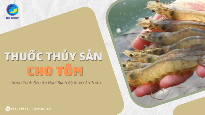 Thuốc Thủy Sản Cho Tôm | Hành Trình Đến Ao Nuôi Sạch Bệnh Và An Toàn