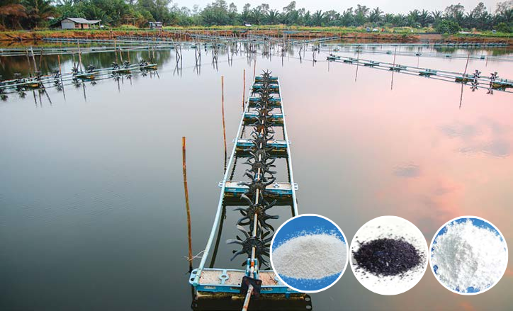 Sử dụng hóa chất như clo hoặc khử trùng để tiêu diệt vi khuẩn
