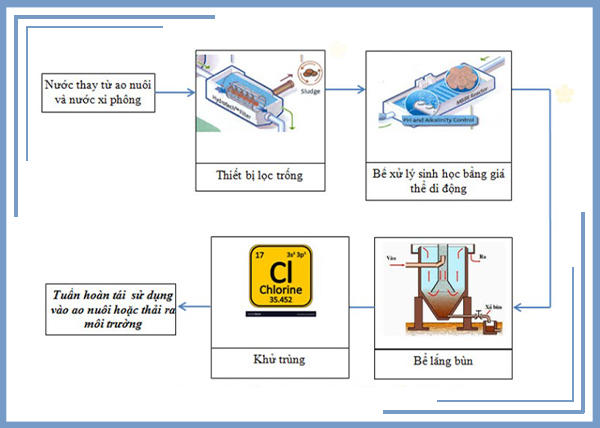 Sơ đồ xử lý chất thải ao nuôi tôm bằng bể xử lý sinh học