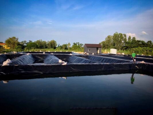 Bạt lót HDPE giữ một vai trò quan trọng trong việc nuôi trồng thủy sản