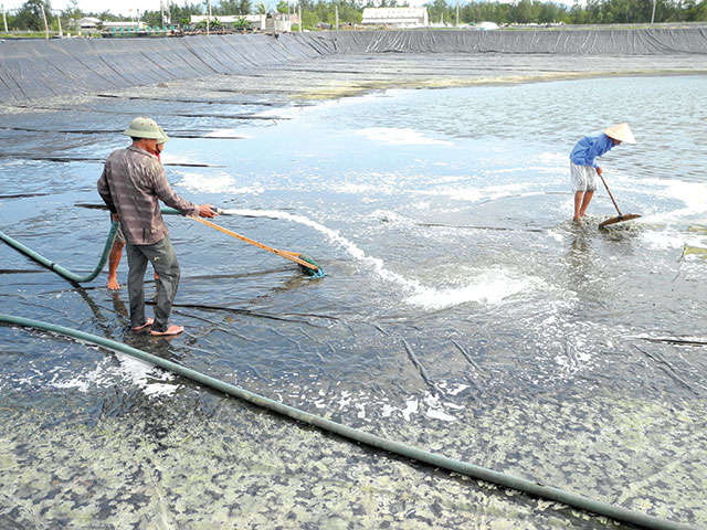 Bề mặt hồ cần được nén chặt, đặc biệt khi đất mềm cần phải được trải lớp cát