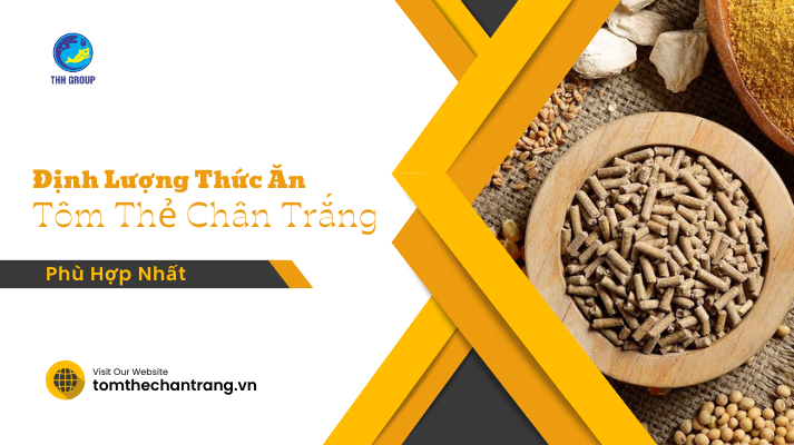 Định Lượng Thức Ăn Cho Tôm Thẻ Chân Trắng Phù Hợp Nhất 