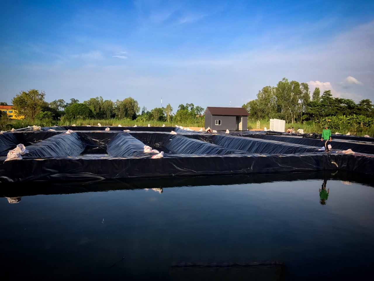 Bạt HDPE lót hồ đóng vai trò quan trọng trong việc tạo ra một môi trường lý tưởng