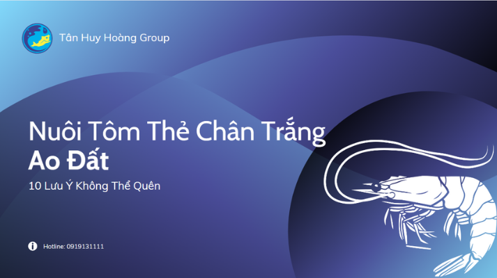 Nuôi Tôm Thẻ Chân Trắng Ao Đất