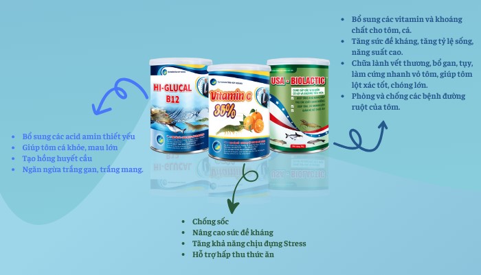 Sản phẩm bổ sung dinh dưỡng khi nuôi tôm công nghệ cao