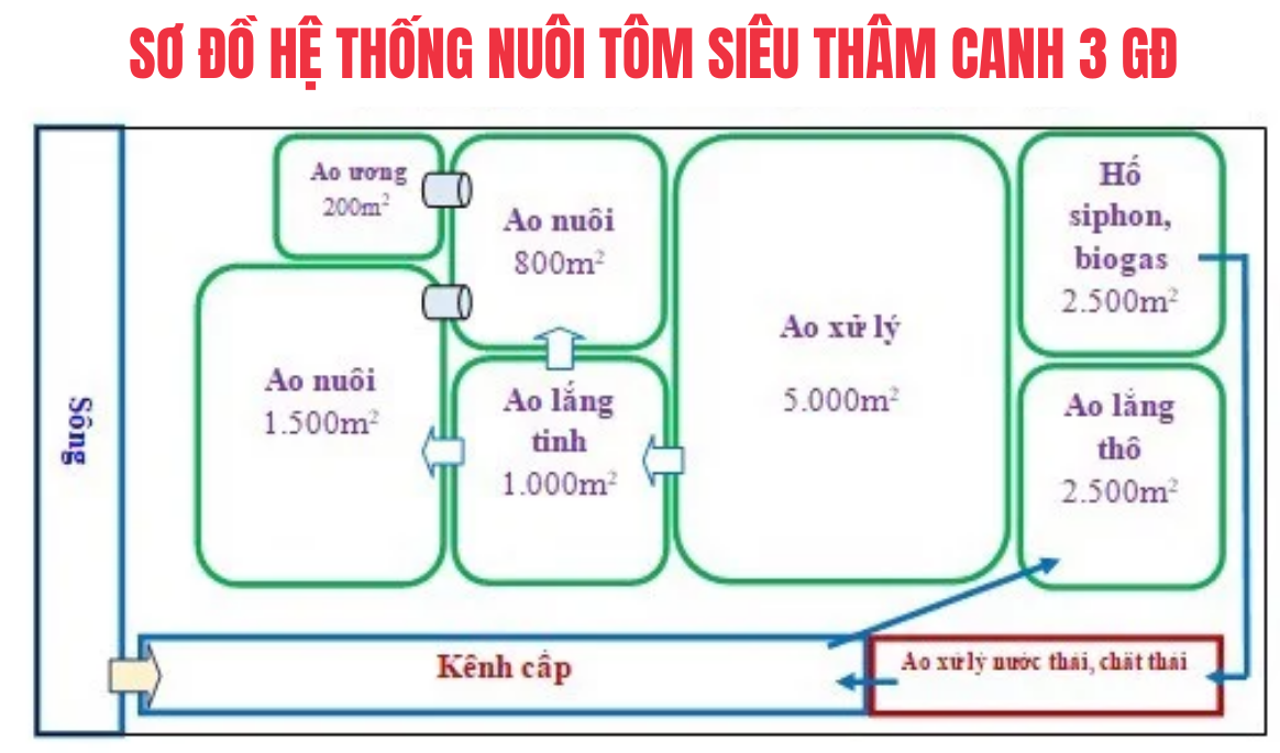 Công nghệ nuôi tôm thẻ chân trắng CPF - Combine nuôi tôm 3 giai đoạn