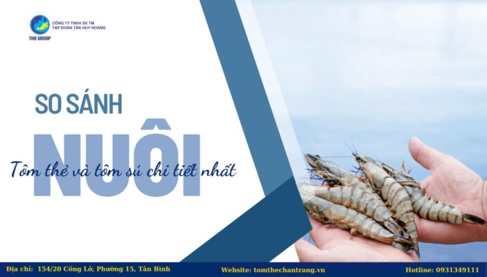 So Sánh Nuôi Tôm Thẻ Và Tôm Sú Cụ Thể Nhất 