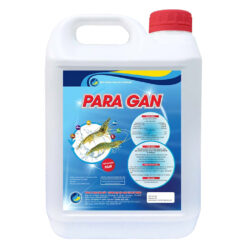Para-gan