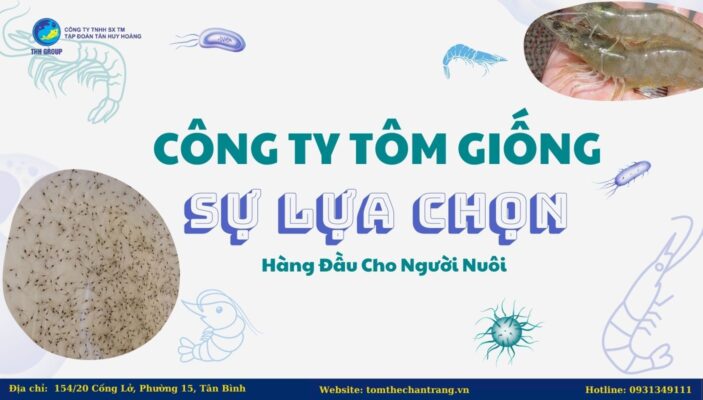 Công Ty Tôm Giống - Sự Lựa Chọn Hàng Đầu Cho Người Nuôi