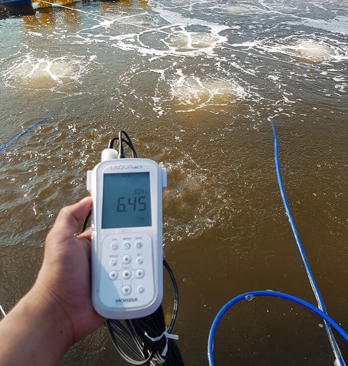 Dùng máy đo nồng độ để biết được mức oxy trong nước