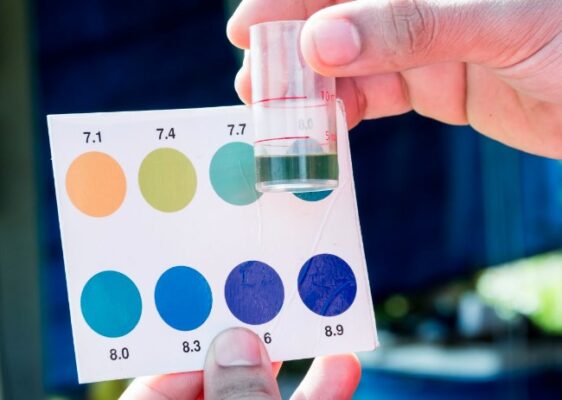 Độ kiềm có thể giảm đột ngột trong ao nuôi tôm