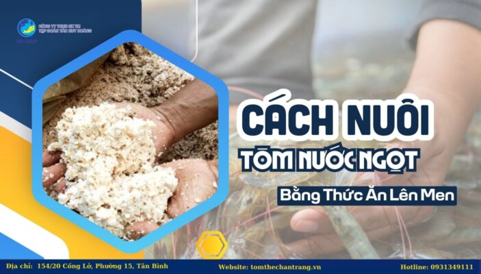 Cách Nuôi Tôm Nước Ngọt Bằng Thức Ăn Lên Men