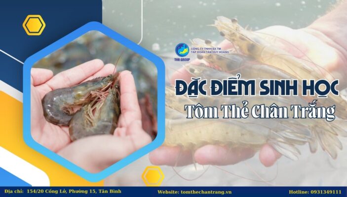 Đặc Điểm Sinh Học Tôm Thẻ Chân Trắng
