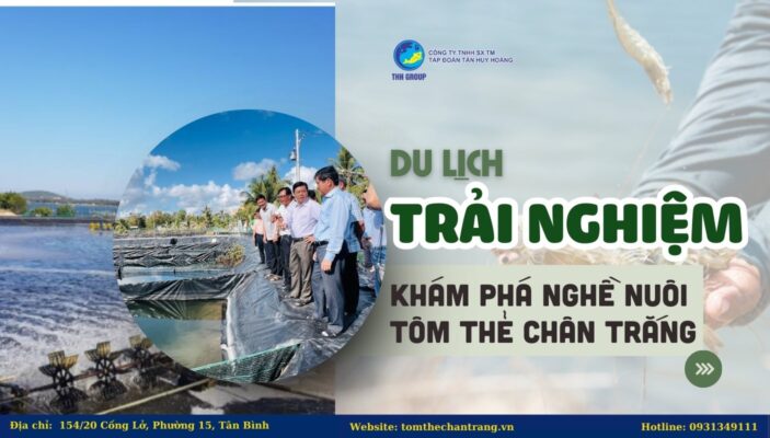 Du Lịch Trải Nghiệm - Khám Phá Nghề Nuôi Tôm Thẻ Chân Trắng