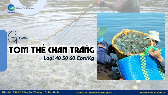 Giá Tôm Thẻ Chân Trắng Loại 40 50 60 Con/Kg