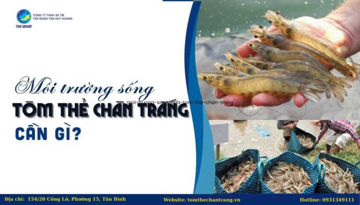 Môi Trường Sống Của Tôm Thẻ Chân Trắng Cần Gì?