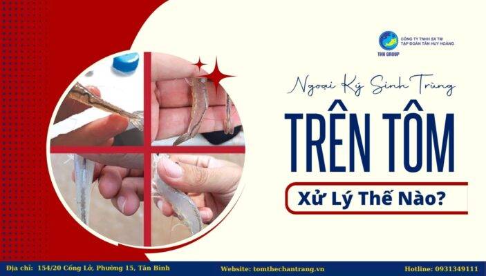 Ngoại Ký Sinh Trùng Trên Tôm Xử Lý Thế Nào?