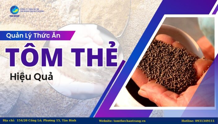 Quản Lý Thức Ăn Tôm Thẻ Hiệu Quả